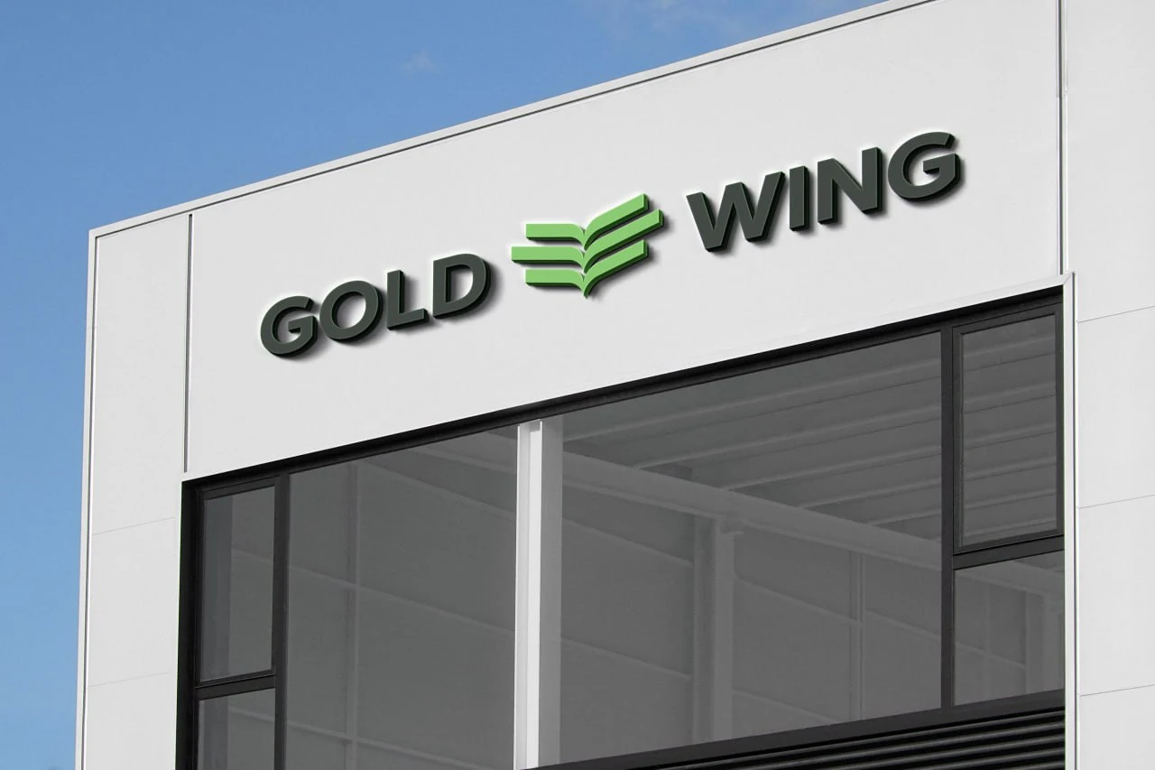 Gold Wing — 8